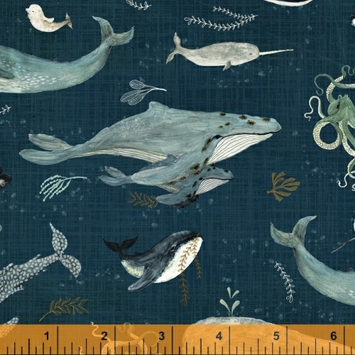 whale jersey fabric